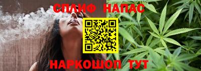 стафф Донецк