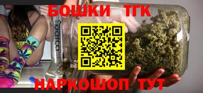 стафф Донской