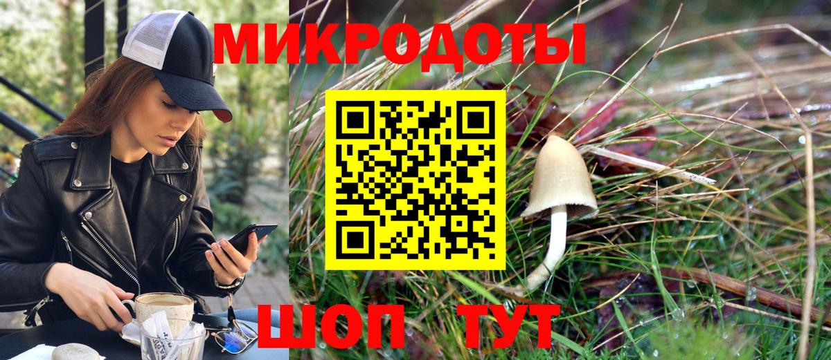Галлюциногенные грибы Psilocybe  Вход с VPN  Калач-на-Дону 